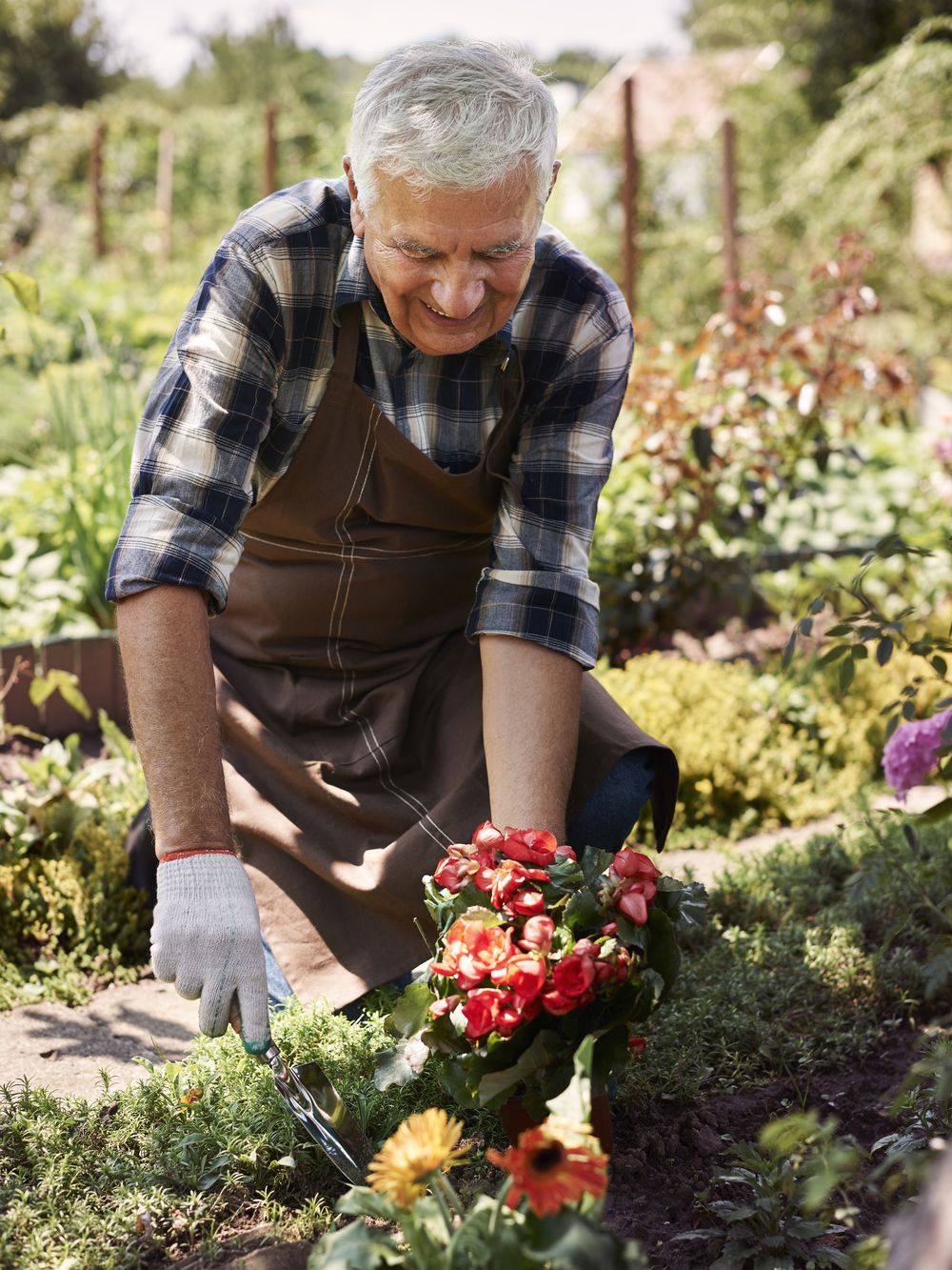 A resident in gardening gloves planting flowers in a raised bed